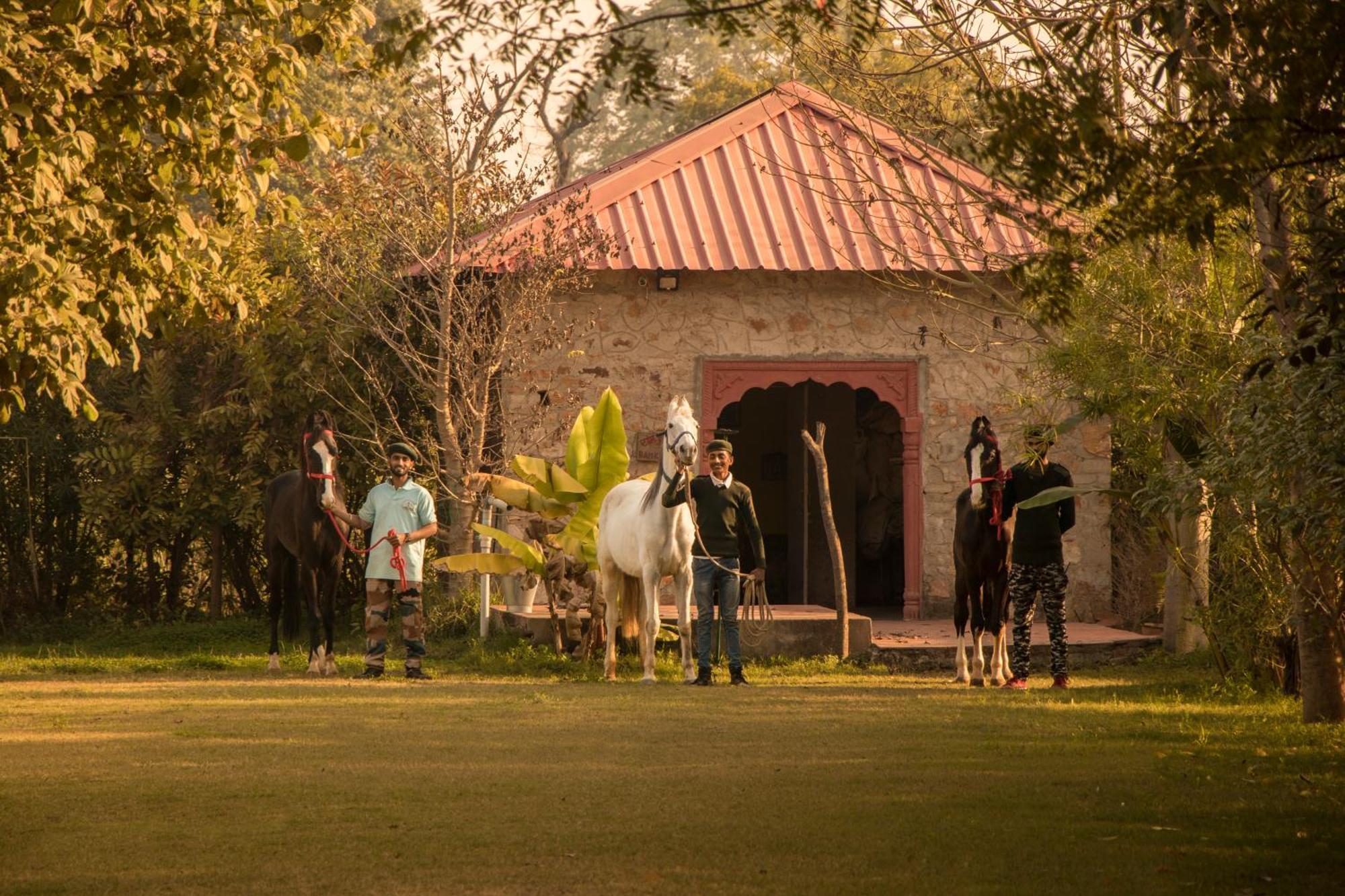 Maa Ashapura Resort Sawai Madhopur Ngoại thất bức ảnh